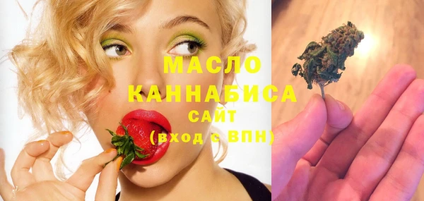 прущий лед Богданович