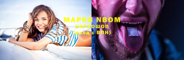 прущий лед Богданович