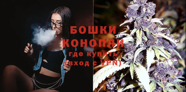 прущий лед Богданович