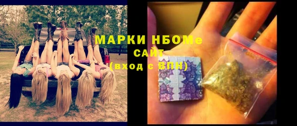 прущий лед Богданович