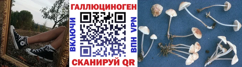 цена blacksprut ссылки Псилоцибиновые грибы мицелий Невельск